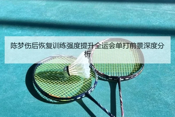 陈梦伤后恢复训练强度提升全运会单打前景深度分析